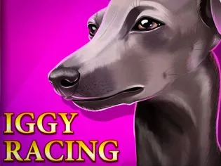 Iggy Racing game thumbnail